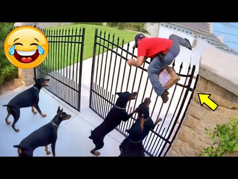 حاول ألا تضحك 2025   أفضل الميمات ومقاطع الفيديو المضحكة الجزء 73