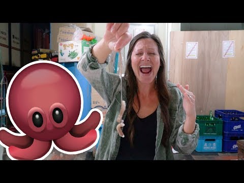 EATING WIGGLING OCTOPUS?! | Seoul Fish Market
