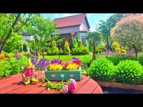 ОГОРОД + САД 10 Соток.  Живу за Городом Занимаюсь Любимым Делом #garden #сад #огород