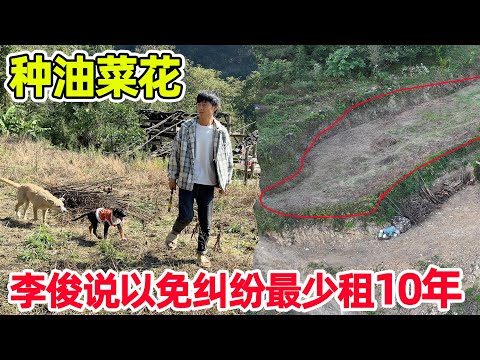 李俊建议一亩地种油菜，一年租期太短了，至少租10至20年