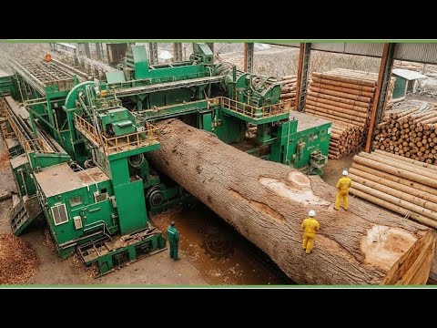 Inside the MASSIVE Wood Factory: From Amazon rainforest to timber planks for high-end interiors