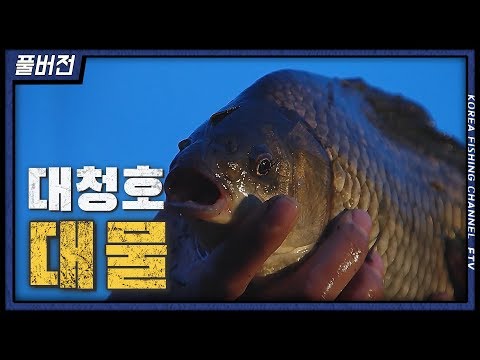 붕어낚시 월척특급 590회 "대물" #이광희 #대청호 #4짜 #대물붕어
