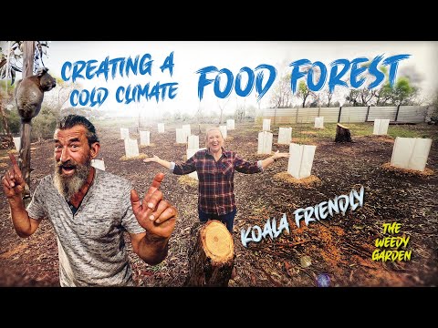 Creating a Temperate Climate Food Forest