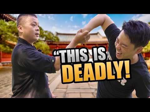 Shaolin Long Fist with Chin Na is TERRIFYING ￼ 