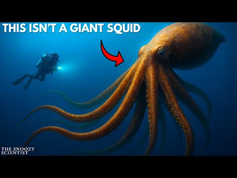 Why Evolution Made the Same Giant Creatures Twice