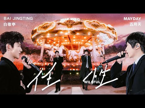 Bai Jing Ting 白敬亭 × Mayday 五月天 – “ Willful ” Official Stage Video｜Theme Song of “The First Frost”