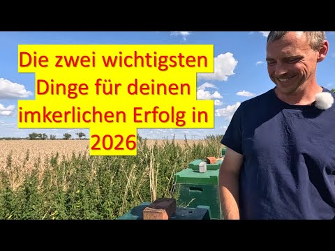 The two most important things for successful beekeeping in 2026
