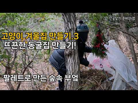 고양이 겨울 집 만들기3|팔레트로 숲 속 부엌 만들기|고양이 비닐 동굴 집 만들기|정원 가꾸기|5도2촌|산골생활