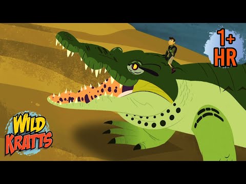 World of Reptiles! Snakes, Crocodiles & Friends | Wild Kratts | 9 Story Kids