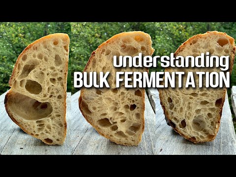 Understanding BULK fermentation. The KEY step for OPEN CRUMB and FLAVOR development. | JoyRideCoffee