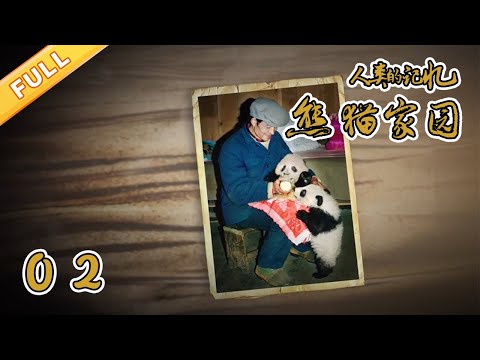 【正片】《熊猫家园》(下)【精品纪录片】
