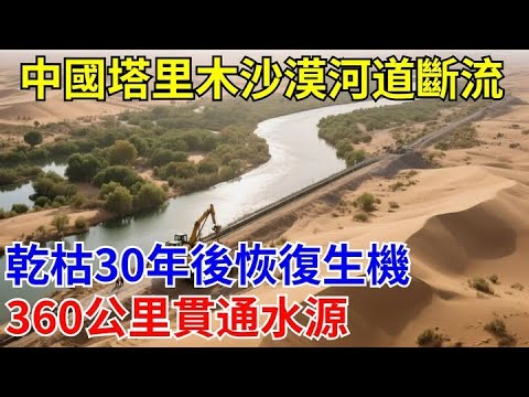 中國塔裏木沙漠河道斷流，幹枯30年後恢復生機！360公裏貫通水源沙地變「水鄉」#中國 #沙漠 #水 #工程奇迹 #科普