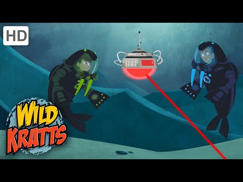 Wild Kratts | Mystery of the Weird Looking Walrus | Full Episode | Season 1