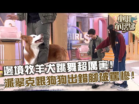 邊境牧羊犬和主人跳舞超厲害！派翠克跟狗狗跳舞出錯腳被罵慘！【#小姐不熙娣】20250217 EP749 Part1 李懿 林予晞