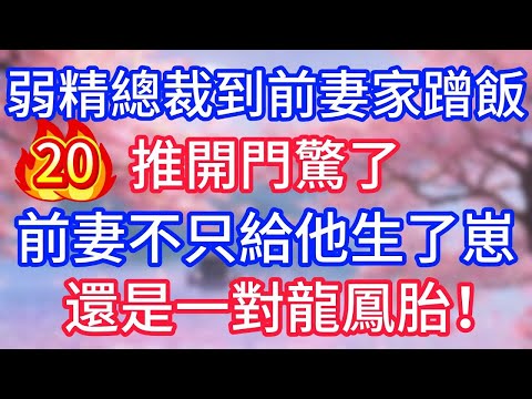【20】弱精總裁到前妻家蹭飯，推開門驚了，前妻不只給他生了崽，還是一對龍鳳胎！