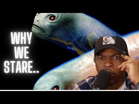 I ADMIT DEFEAT | Rapper Responds to TOOL "Vicarious"