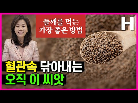 들깨 먹는법 주의점 오메가3 연어 200배