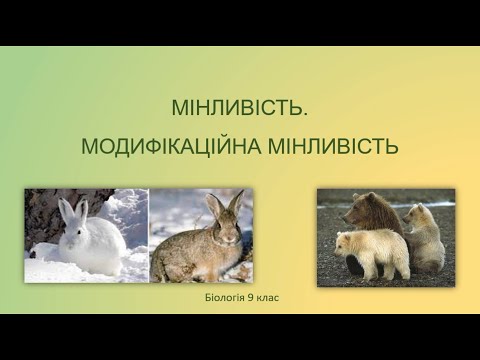 Біологія 9 клас. Форми мінливості. Модифікаційна мінливість