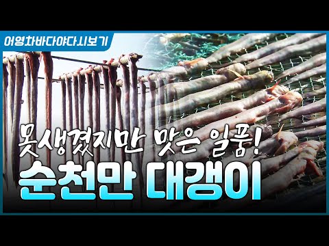 조물조물 무치면 밥 한 공기 뚝딱! 맛좋은 순천만 대갱이 한 입 어떠세요? #개소겡 #대갱이 #무침 #생선