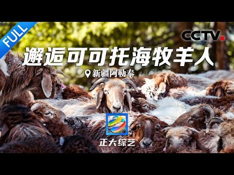【Full】一首《可可托海的牧羊人》带火整个景区,共赴春天的盛宴“纳吾热孜节”,开启充满民族风情新疆之旅!| CCTV「正大综艺」20230416