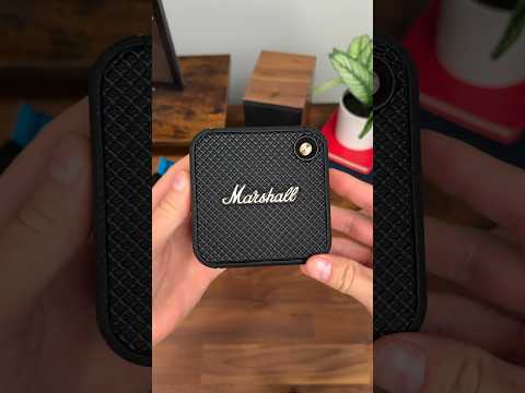Marshall Willen Speaker Unboxing!