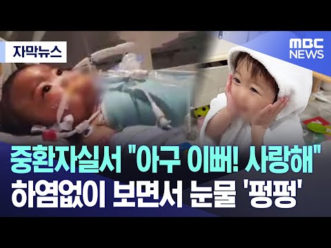 [자막뉴스] 중환자실서 "아구 이뻐! 사랑해" 하염없이 보면서 눈물 '펑펑' (2023.07.19/MBC뉴스)