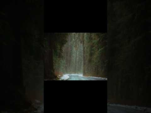 the aesthetic of twilight 🌙 || #twilight #edit #fyp