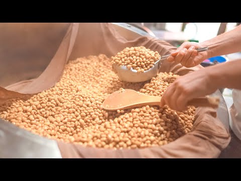 [precious video] Making the Best Traditional Natto by Young Master in Japan!