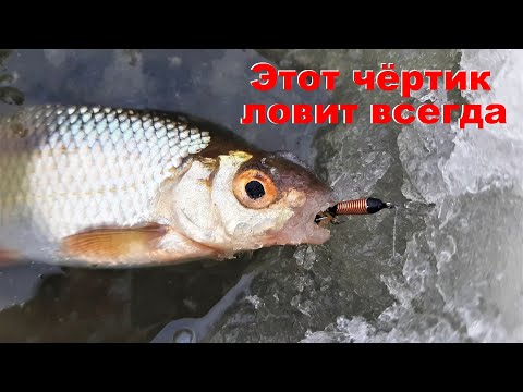ЭТОТ ЧЁРТИК ЛОВИТ ВСЮ РЫБУ.ОЧЕНЬ УЛОВИСТЫЙ ЧЁРТИК. Рыбалка на чёртика.