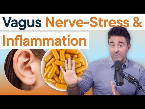 4 Powerful Vagus Nerve Tools to Rewire Your Nervous System