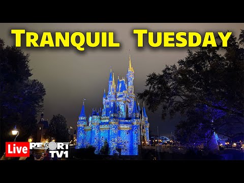🔴Live: Tranquil Tuesday - Christmas Eve Eve at Magic Kingdom - Walt Disney World - 12-23-25