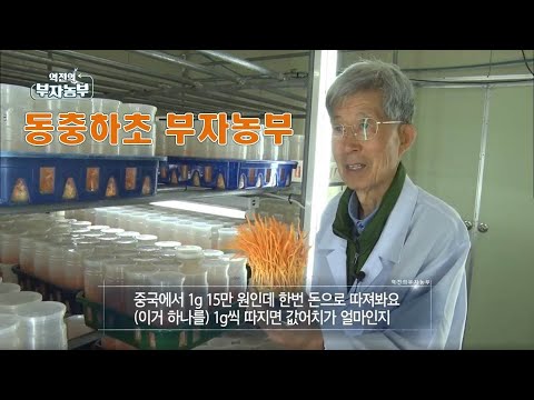 [46회] 36년간 동충하초 연구 외길을 걸으며 연 5억 '강원 횡성군 성재모 부자농부'