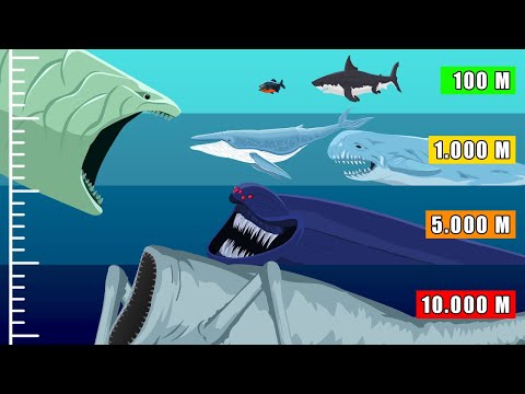 The Bloop Deep-Sea Descent - Into Sea Monsters Territory (Migration Simulation)