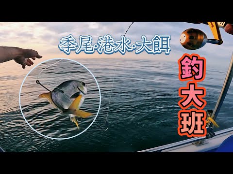 餌一到地就接實 快到手都會斷？錯失幾十斤 ！蒸發一半魚獲🙈｜#啊濤 #香港釣魚 #fishing