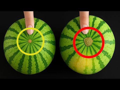 Just Look At This SPOT To Pick SWEET, JUICY Watermelons — A Secret Sellers Never Tell You!