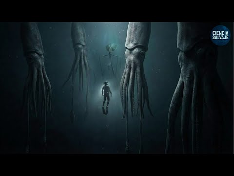 El Océano Profundo: Por Qué Cuanto Más Profundo, Más Inexplicable se Vuelve la Vida