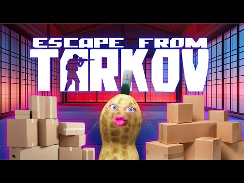 Peanut's First Day Back At The Dojo