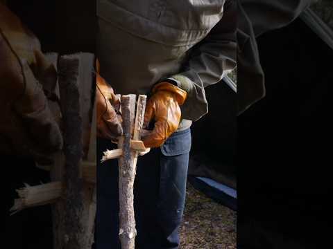 Bushcraft Torch #survival #camping