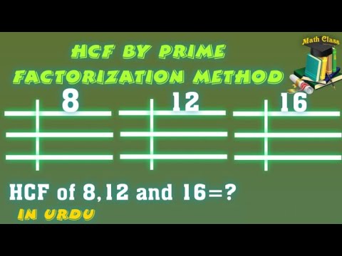 Find HCF by Prime Factorization Method in Urdu, HCF of 8 12 and 16