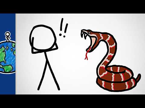 Why Are Snakes So Creepy?
