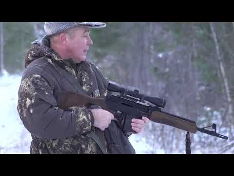 Охота на лося: трагическая гибель лайки