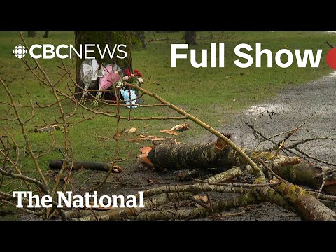 CBC News: The National | Mother killed by tree branch in B.C.