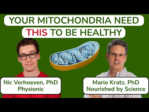Your Mitochondria Need THIS to Be Healthy. A Conversation with Nicolas Verhoeven, PhD (Physionic).