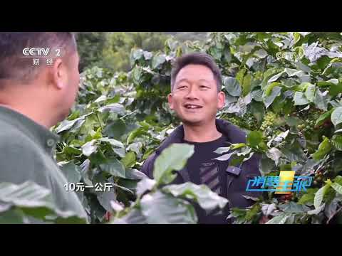 《消费主张》 20251216 云南咖啡蝶变：从廉价原料进阶市场宠儿 |  财经风云
