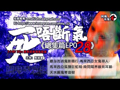 3小時/3Hrs 廣東話粵語鬼故 死唔斷氣EP28【瞓覺有鬼系列】阿媽，有鬼! EP216 ~ EP218 W01 ~ W02 ｜擦身而過鬼隨行｜馬來女鬼尋人｜兆康集體鬼影｜狐狸巨蛇精｜天水圍鬼琴哀樹