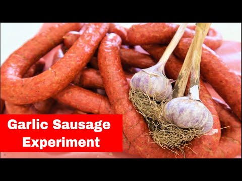 Granulated VS Store Bought Vs Fresh Garlic Sausage. Garlic Sausage Experiment.