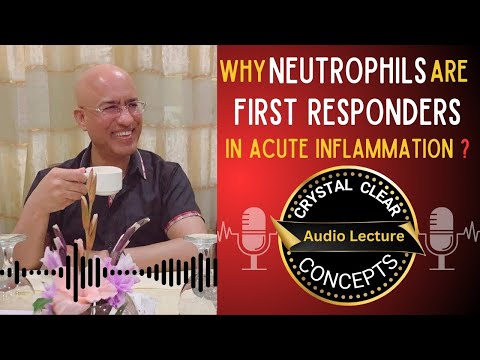 Neutrophils | Cells in Acute Inflammation | Audio Lecture