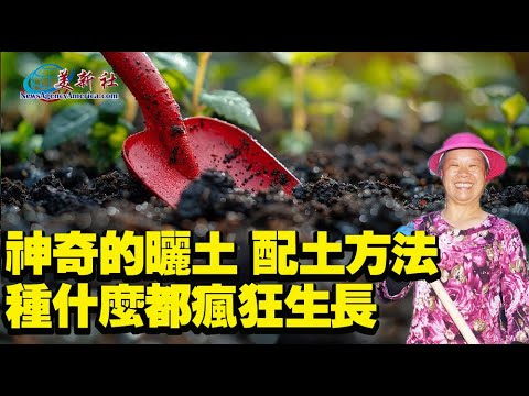 Amazing method of drying and mixing soil , makes everything grow like crazy