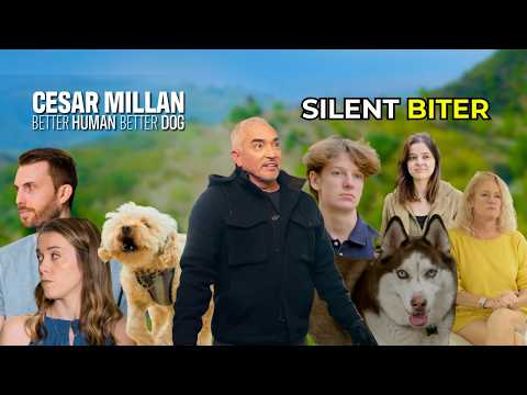 This Mini Poodle is Like Jekyll and Hyde | Better Human Better Dog | S02E10