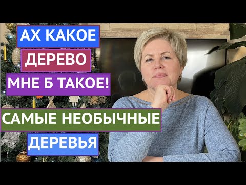 САМЫЕ НЕОБЫЧНЫЕ И ПРЕКРАСНЫЕ ДЕРЕВЬЯ ДЛЯ ВАШЕГО САДА!
